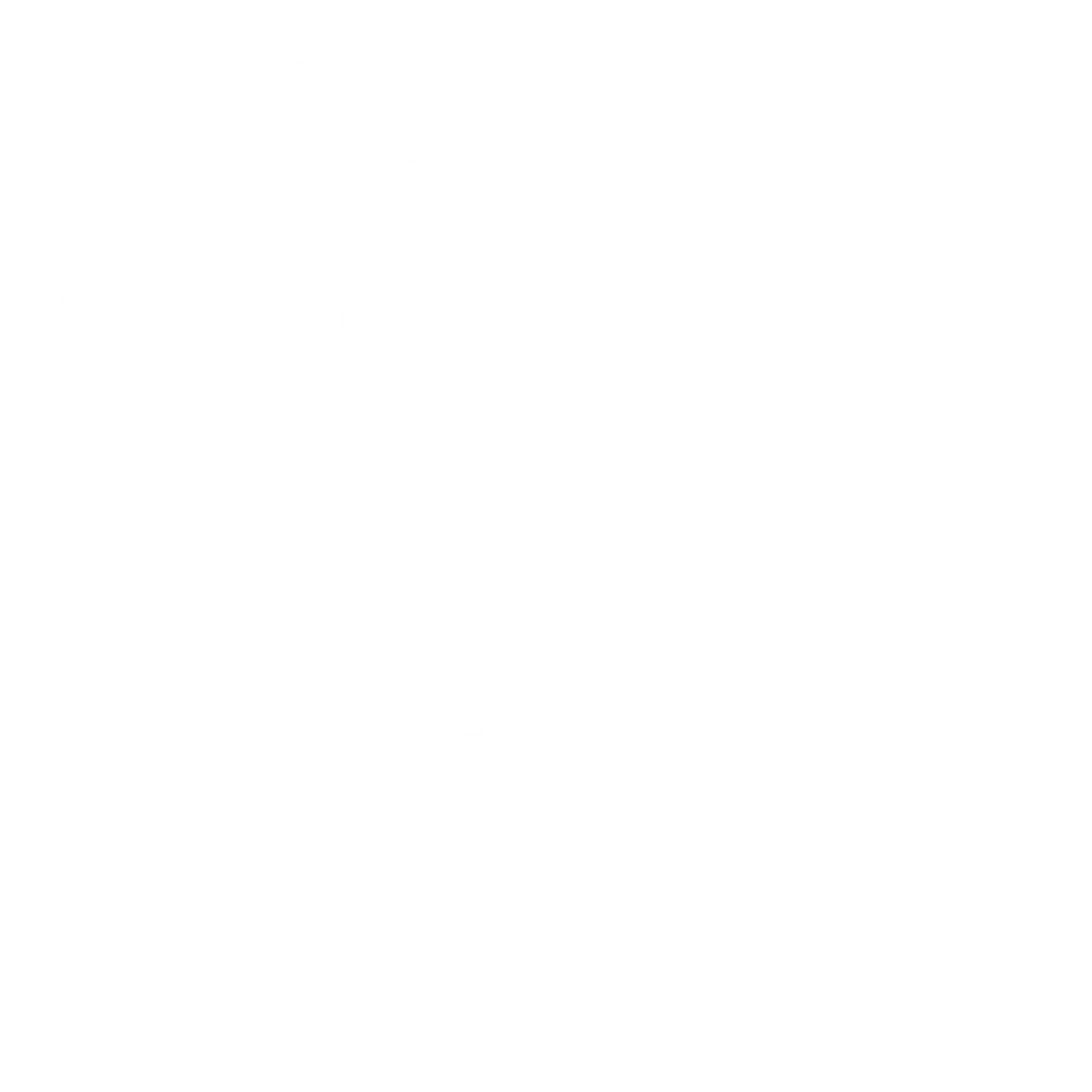 Inspection Guarantee White